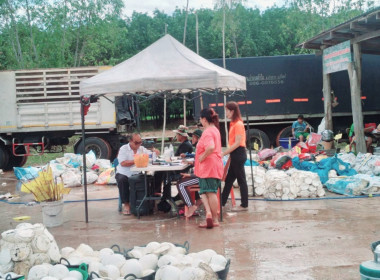 ติดตามผลการรวบรวมยางพาราของกลุ่มเกษตรกรทำสวนยางพารานาเมือง พารามิเตอร์รูปภาพ 2